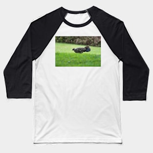 Ring-necked pheasant 2 Baseball T-Shirt